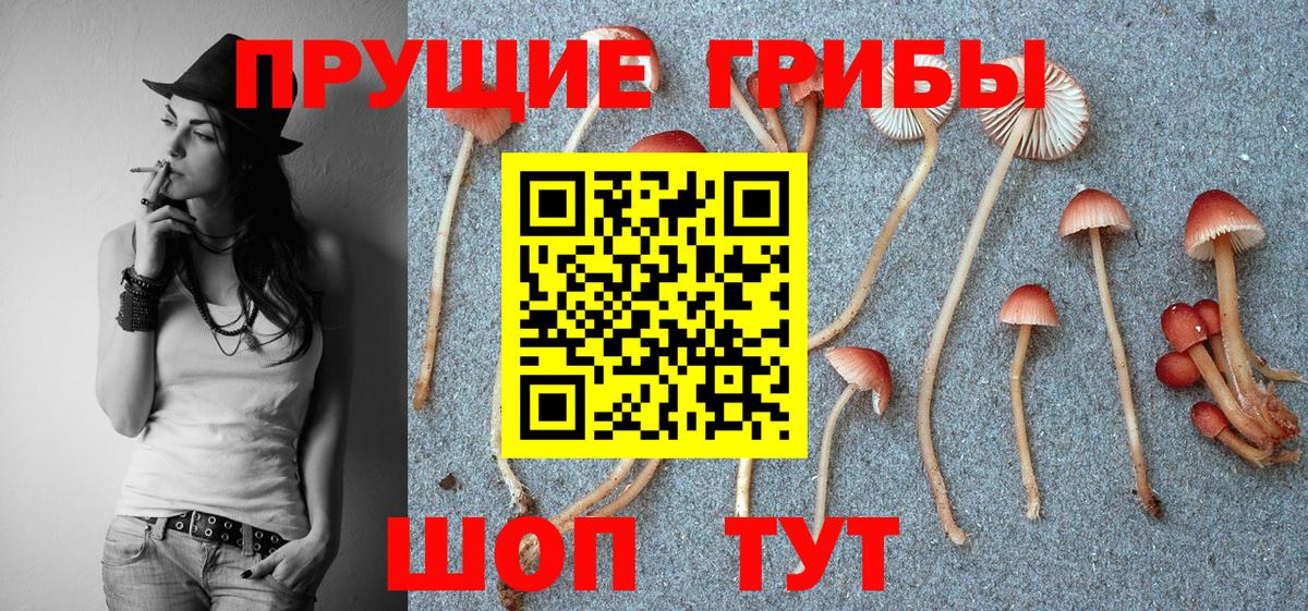 Галлюциногенные грибы GOLDEN TEACHER Малоярославец