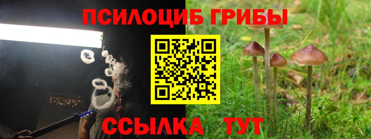 Малоярославец  Псилоцибиновые грибы Psilocybe  Вход с VPN  Псилоцибиновые грибы Psilocybe 